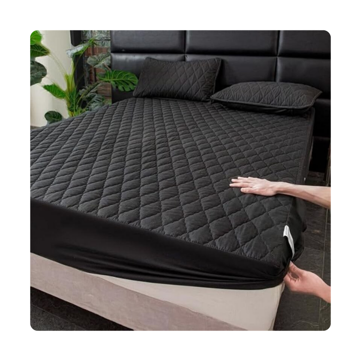 Mattress Protectors